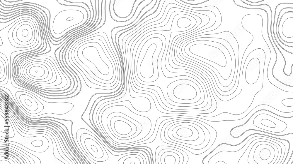 Topographic map. Geographic mountain relief. Abstract white topography vector background. Line topography map design. The concept of conditional geographical pattern and topography.	