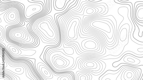 Topographic map. Geographic mountain relief. Abstract white topography vector background. Line topography map design. The concept of conditional geographical pattern and topography. 