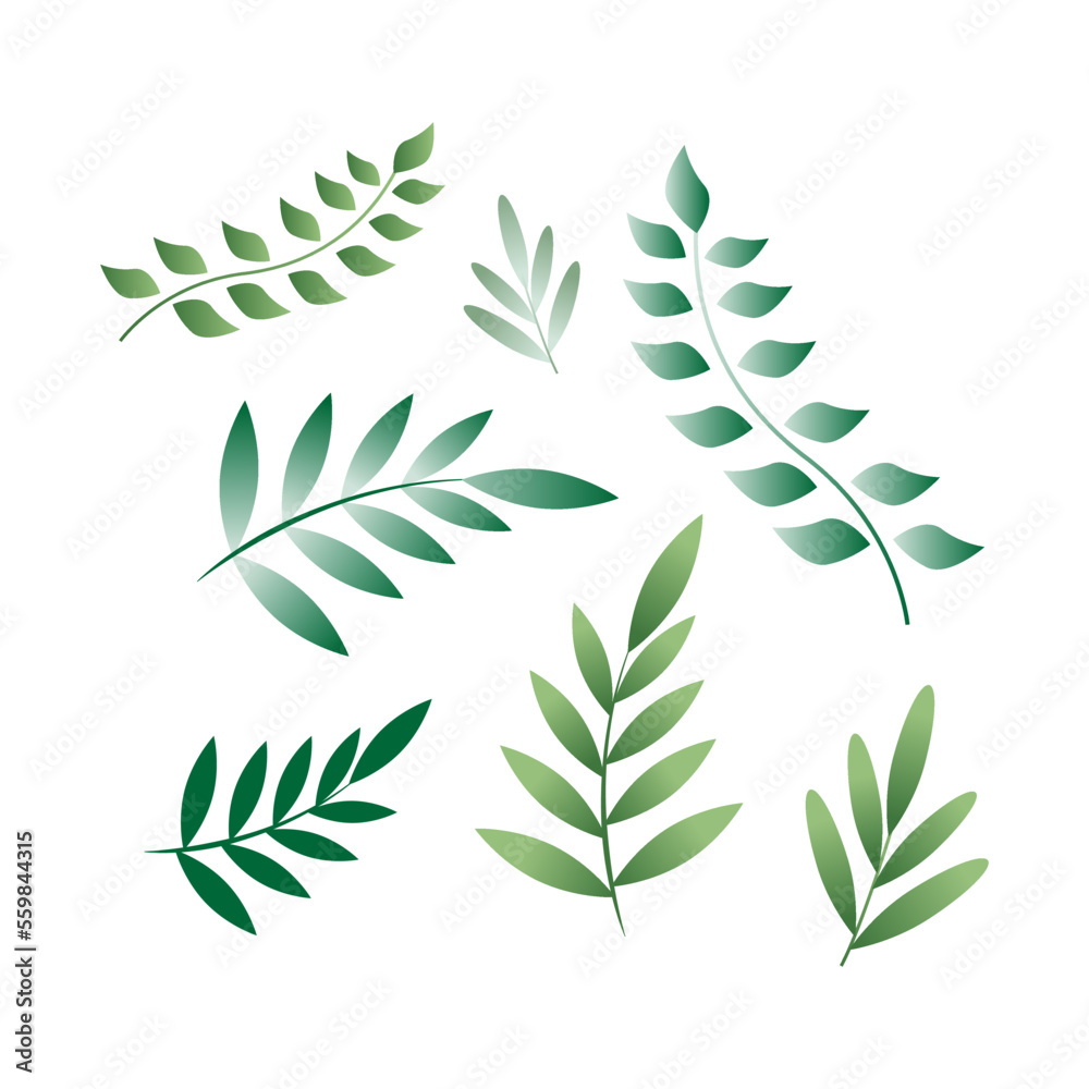 Fototapeta premium 0901 Flat style vector leaves