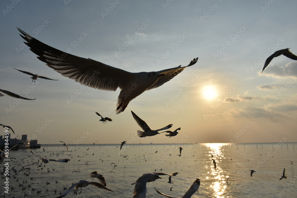 Naklejka premium The silhoette flock of sea gulls spread wings when flying under the twilight time,Bangpu recretion center Thailand
