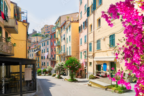 street of Riomaggiore picturesque town of Cinque Terre with flowers, Italy © neirfy