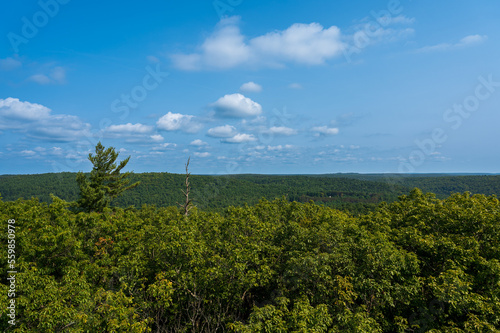 Spectacular view from the fire tower at Cook Forest State Park in Pennsylvania.