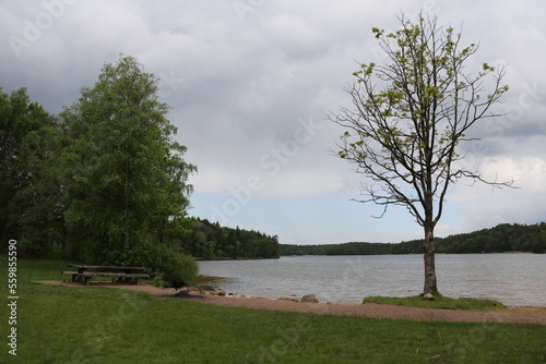 Lilla Delsj  ns strand in Delsj  omr  dets naturreservat  Gothenburg Sweden