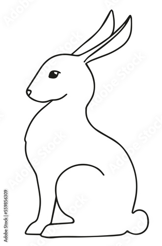 Rabbit illustration