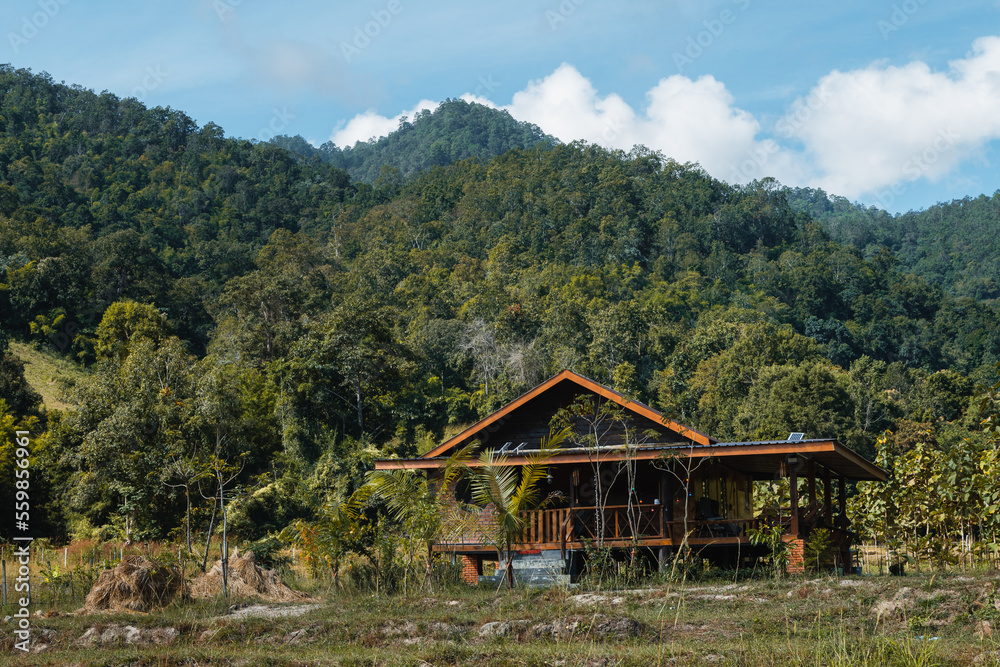 House in Northern Thailand countryside with green hills and tropical forest in the background