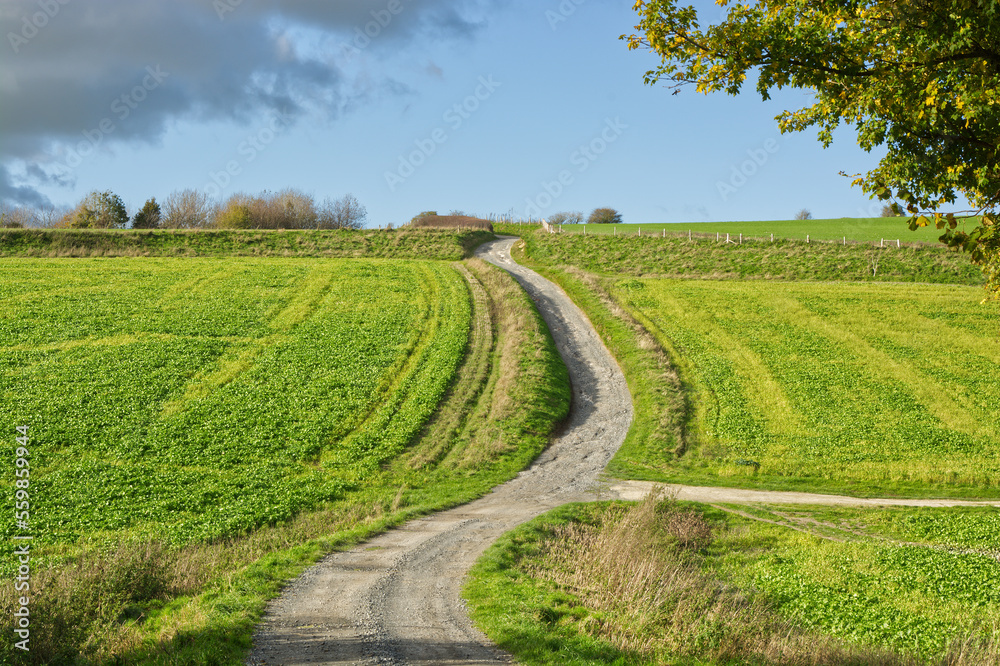Track through farmland, Sussex, England Track through farmland, Sussex, England