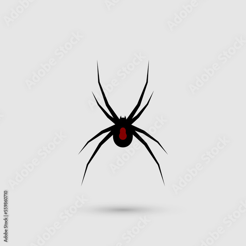 Silhouette of black spider.Spider close-up. Vector spider