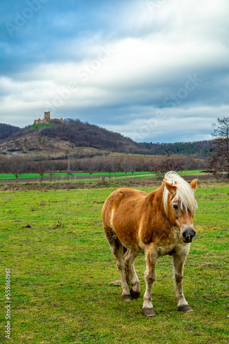 Kurze Wanderung um die wunderschönen Drei Gleichen im Thüringer Becken - Drei Gleichen - Deutschland photo