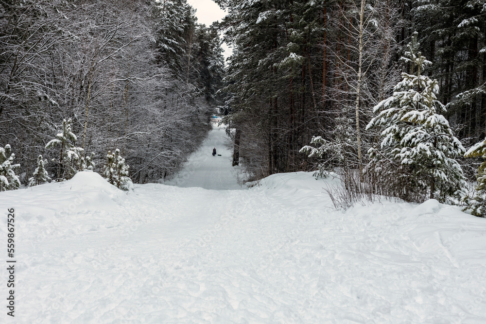 Snow-covered trees in a winter forest with a slide for skiing. Snow-covered trees in a winter forest with a slide for skiing.