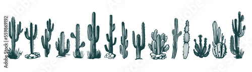 Cactus set hand drawn illustrations, vector 
