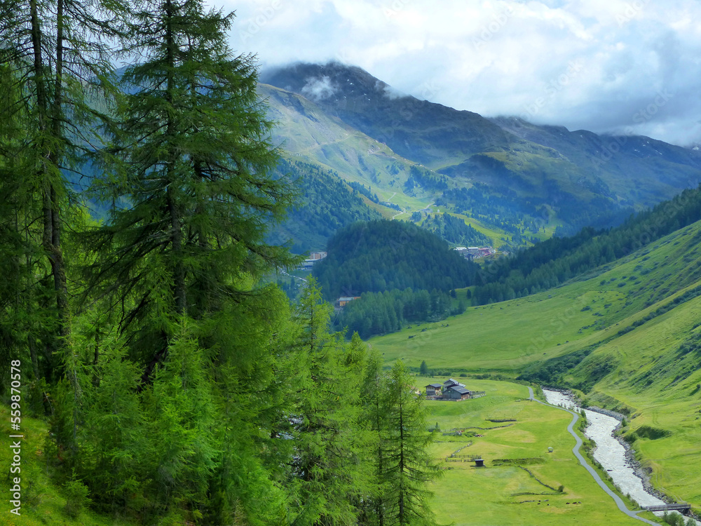 Landschaft im Hochgebirge mit Flusslauf im Tal und Nadelbäumen im Vordergrund