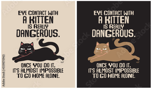 Eye Contact with a Kitten - Cat Lover