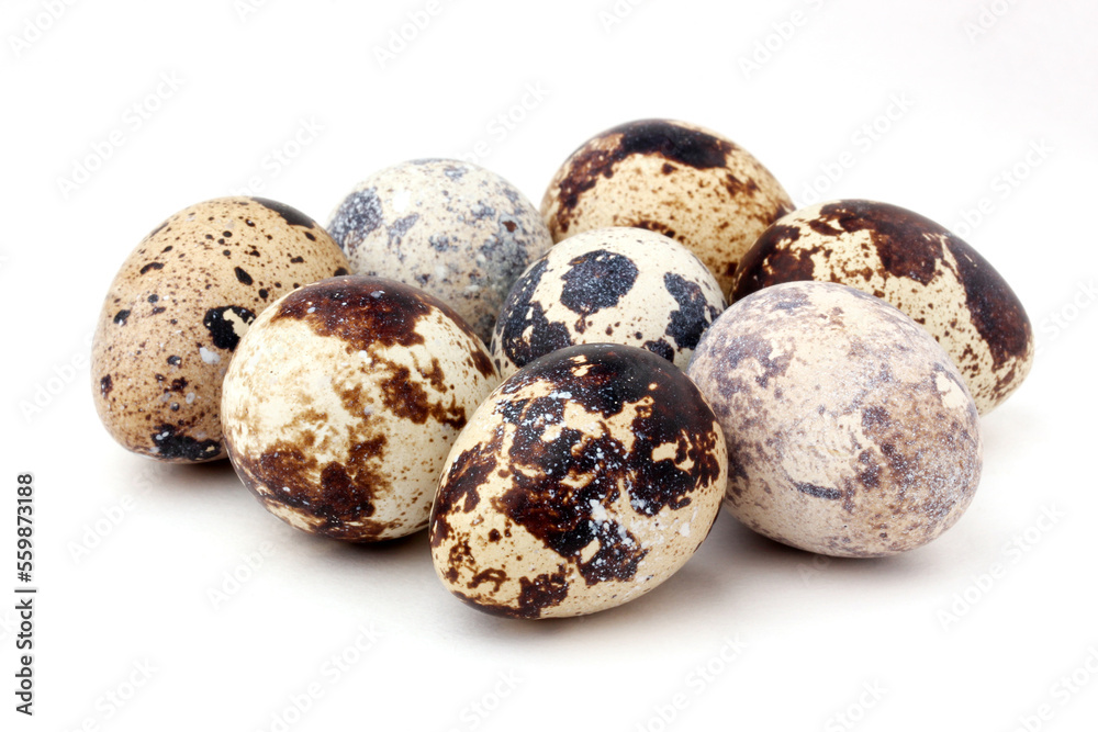 quail eggs on a white background (not isolated). quail eggs on a white background (not isolated).