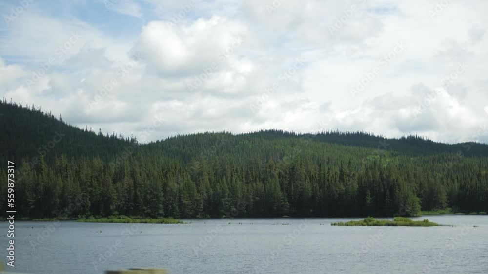 Beautiful landscape lake river trees forest filmed by car on highway saguenay nature Beautiful landscape lake river trees forest filmed by car on highway saguenay nature