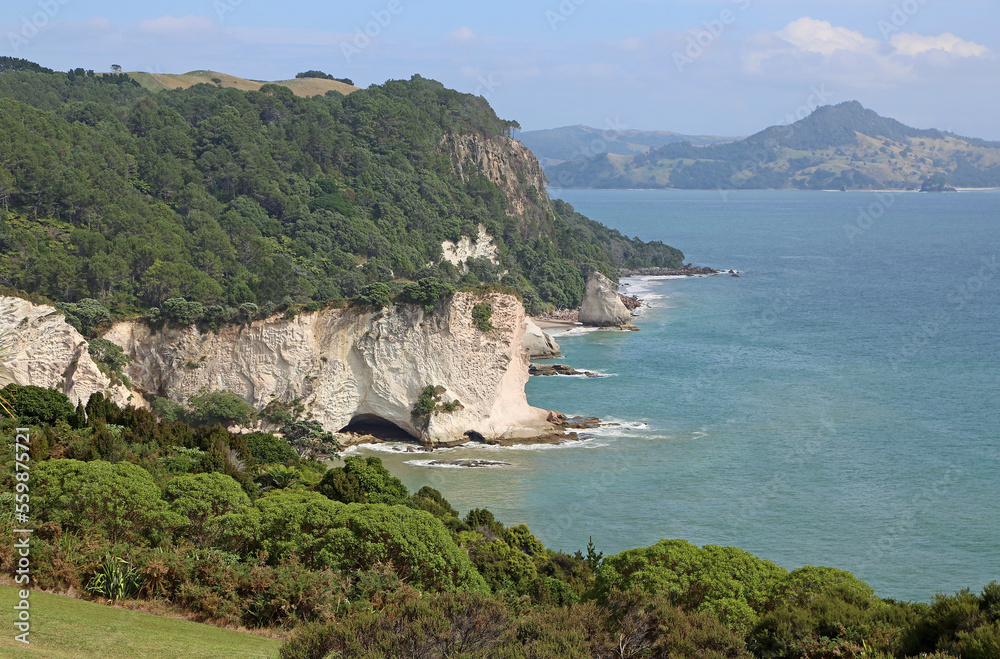 Cathedral Cove cliffs - Coromandel Peninsula, New Zealand