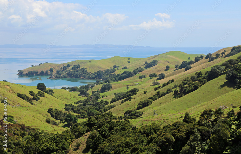 Kirita Bay - Coromandel Peninsula, New Zealand