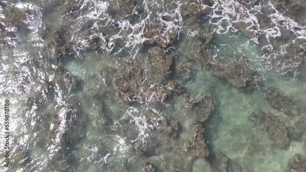 Clear Ocean Water Hawaii