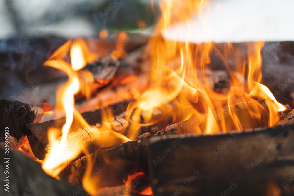 Obraz premium beautiful fire colorful bonfire burns in the grill for cooking food
