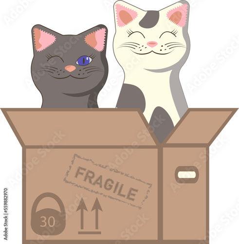 Smiling and winking white and gray cats in box