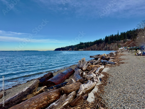 driftwood along the beach Kayak Point Washington
