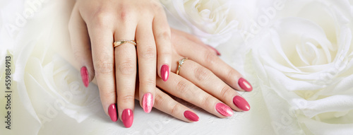 Beautiful female hands with fresh Viva Magenta trendy color manicure lying on a white rose flowers backdrop. Wedding or spa or celebration soft background with copy space.