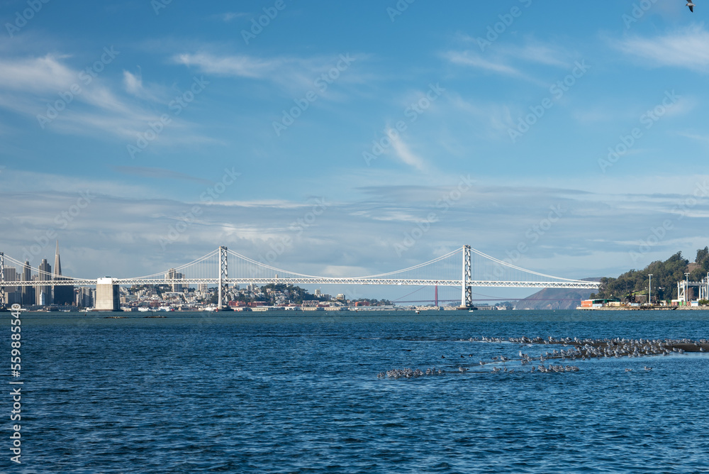 San Francisco bay bridge and golden gate bridge with birds on sandbar San Francisco bay bridge and golden gate bridge with birds on sandbar