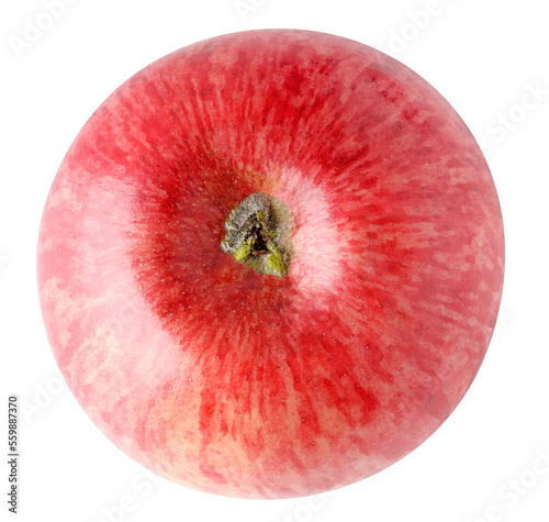 One red apple bottom view cut out