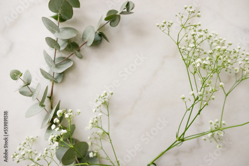 eucalyptus branches and little flowers flat lay frame marble background