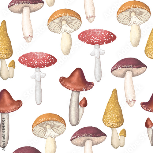 Wild different mushrooms. Seamless pattern with hand drawn illustrations
