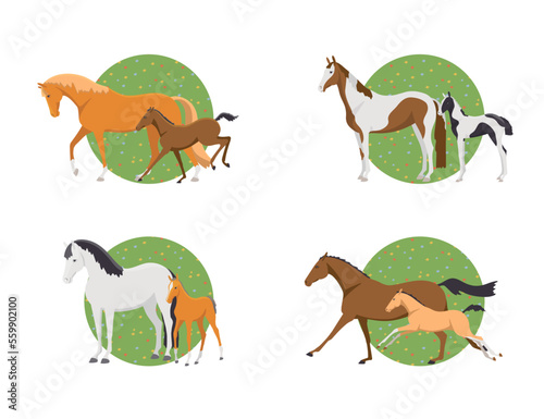 Set isolated mares and foals. Vector collection cute animals