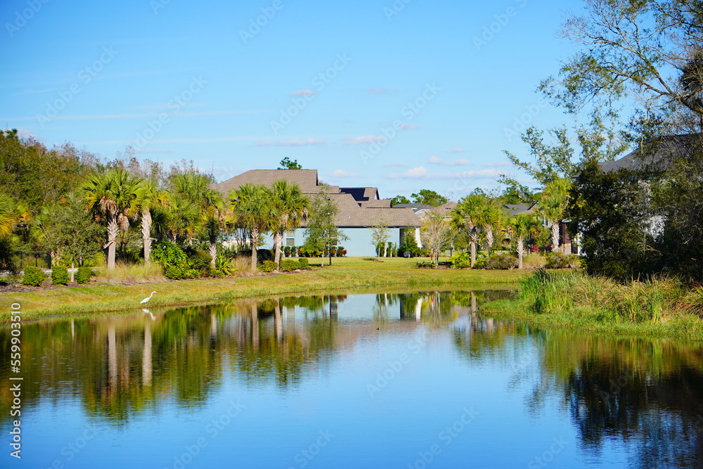 Beautiful blue lake or pond in a Florida community Beautiful blue lake or pond in a Florida community