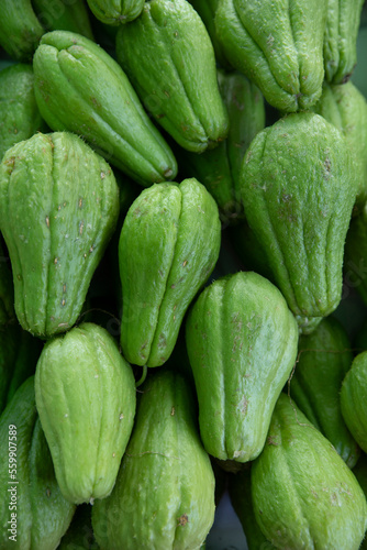 Freah chayote or Sechium edule on market for sale. Freah chayote background Is a very useful vegetable. In portuguese is called chuchu. Sao Paulo City, Brazil. photo