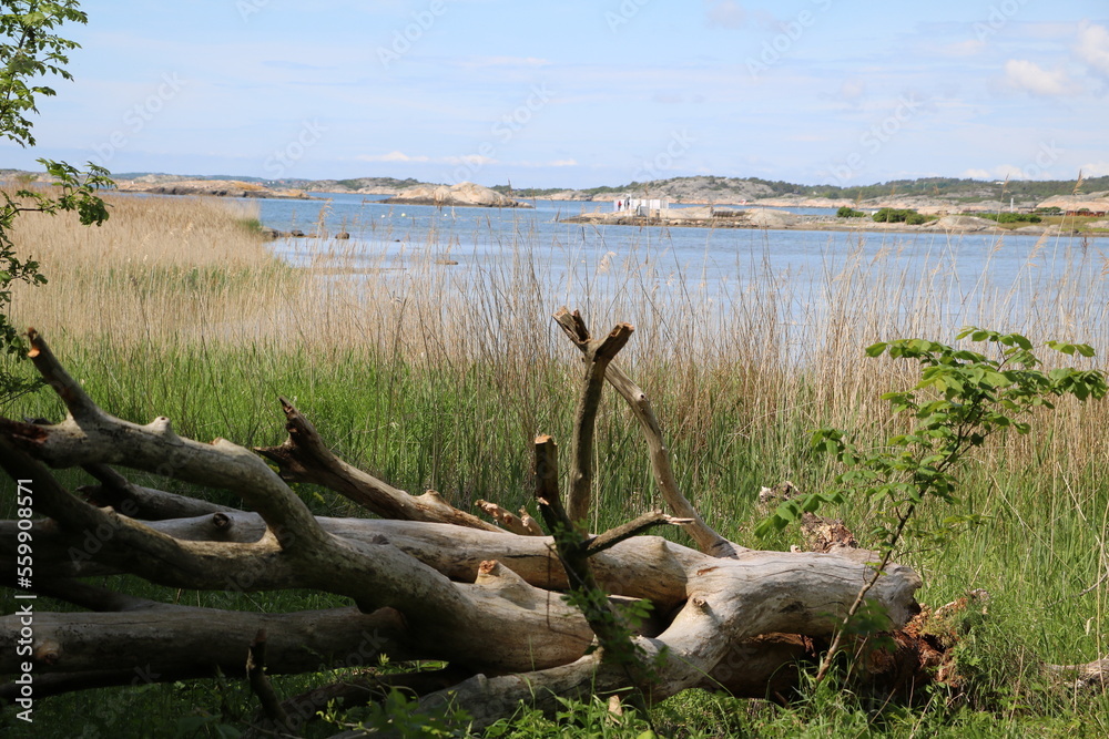 Landscape of Stora Amundön island in Gothenburg, Sweden Landscape of Stora Amundön island in Gothenburg, Sweden