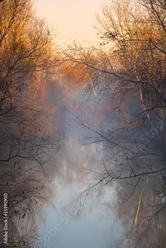 Morning landscape with fog on the river Pinios, Larisa, Greece