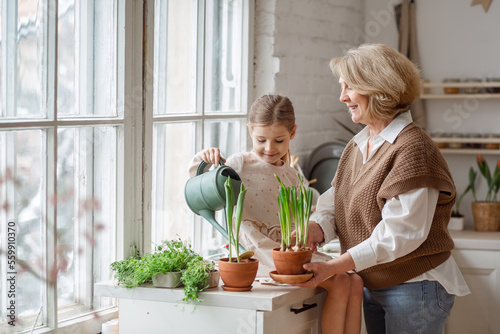 An elderly woman grandmother and a little girl granddaughter take care of and plant potted plants inside the house, do gardening in the spring for Earth Day