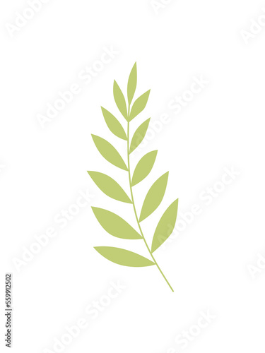 Vector illustration of flowers, twig of green leaves. Decorative flat flower stylized in color. For design for the holidays. Illustrations for stickers, prints, advertisements, solo elements