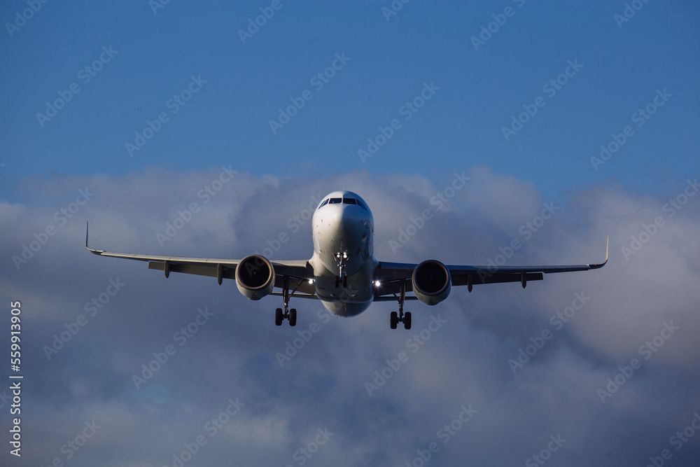 Landing plane on cloudy sky background, front view Landing plane on cloudy sky background, front view