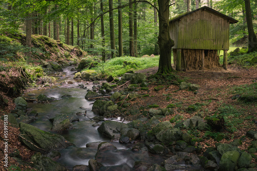 Fototapeta Naklejka Na Ścianę i Meble -  Wiata z sianem w lesie nad brzegiem strumienia, Sudety, rzeka Wilczka