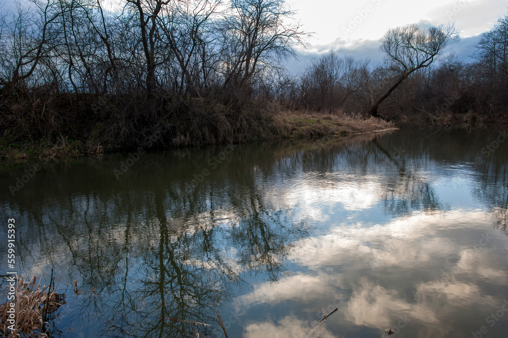 reflection of trees in water, late autumn for nature, cloudy day reflection of trees in water, late autumn for nature, cloudy day