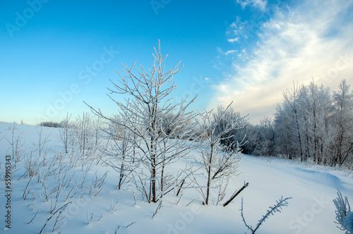 Winter landscape in the mountains, snowy winter landscapes, frosty mornings