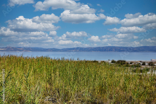 Shore view of a salt lake with reeds in the foreground  mountains and clouds in the sky. Lake wallpaper
