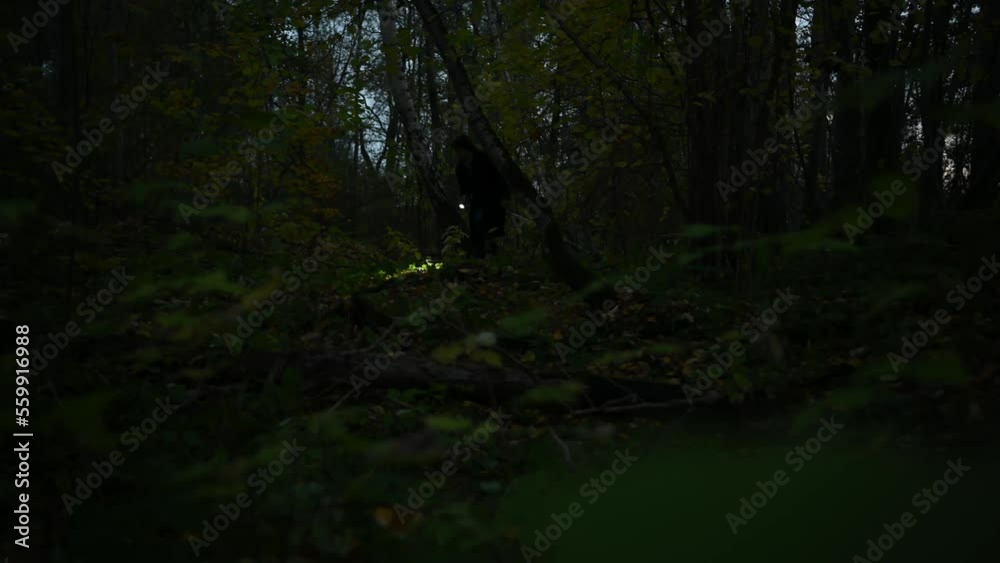 spies on a woman walking along a path in the night forest with a flashlight in her hands. spies on a woman walking along a path in the night forest with a flashlight in her hands.