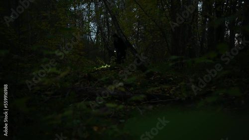 spies on a woman walking along a path in the night forest with a flashlight in her hands.