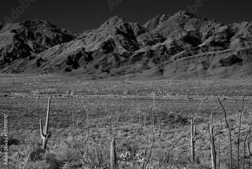 Catalina Mountains Tucson Arizona photo