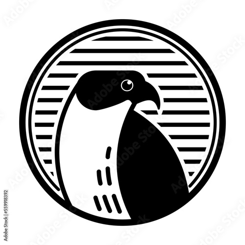 black and white bird with sign