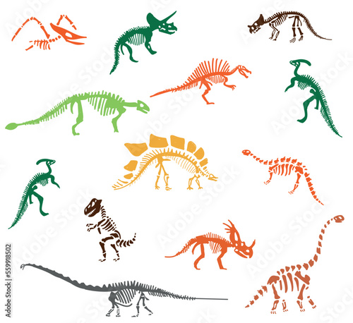 Dinosaur skeleton set diplodocus, triceratops, t-rex, stegosaurus, parasaurolophus etc.