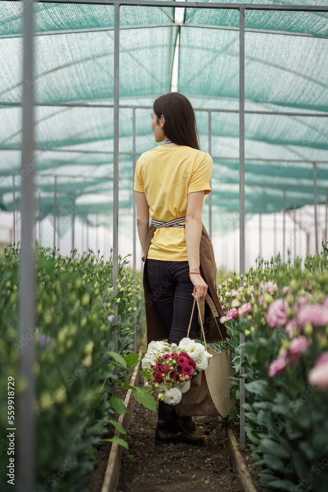 Woman florist walking among flowers in a green house carrying a basket with a fresh bouquet