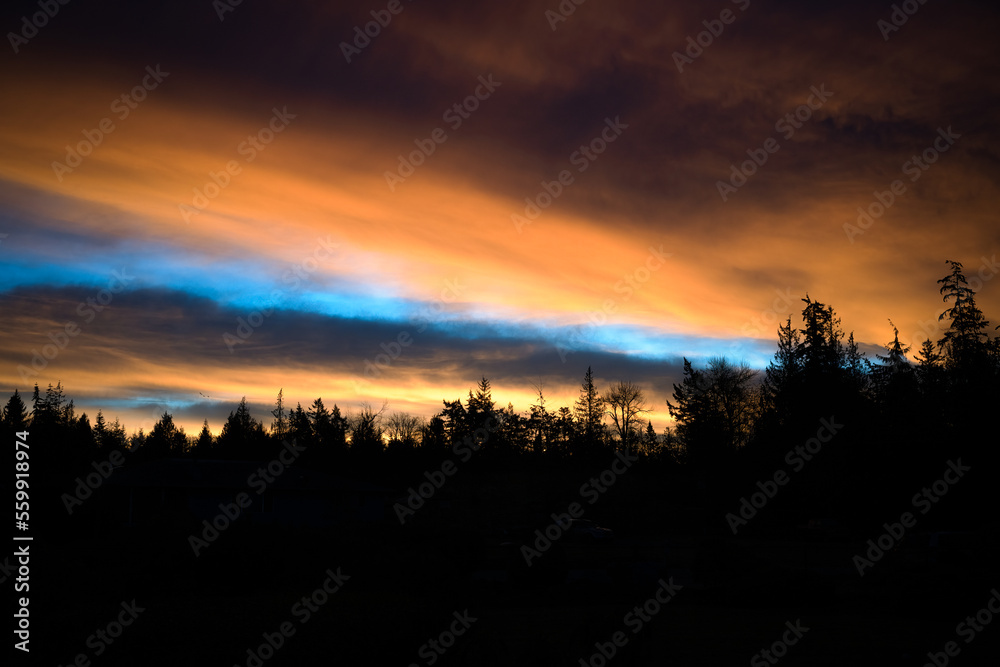 2023-01-02 STORMY MORNING CLOUDS AT SUNRISE WITH BACK LIT TREES ON CAMANO ISLAND WASHINGTON
