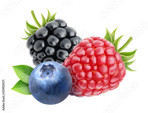 Three berries (blueberry, raspberry, blackberry) cut out photo