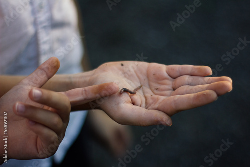 A child in white shirt holding an earthworm in palm pointing at it 